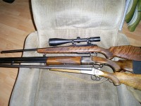S5031416.jpg