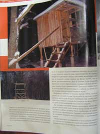 f6.JPG