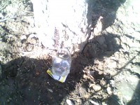 IMG0277A.jpg