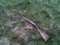 IMG0305A.jpg